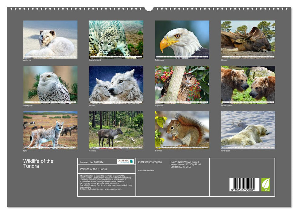 Wildlife of the Tundra (CALVENDO Premium-Calendar 2026)