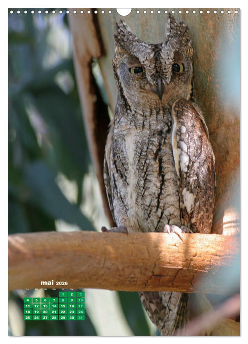 Lesbos l'île aux oiseaux (CALVENDO Calendrier mensuel 2026)