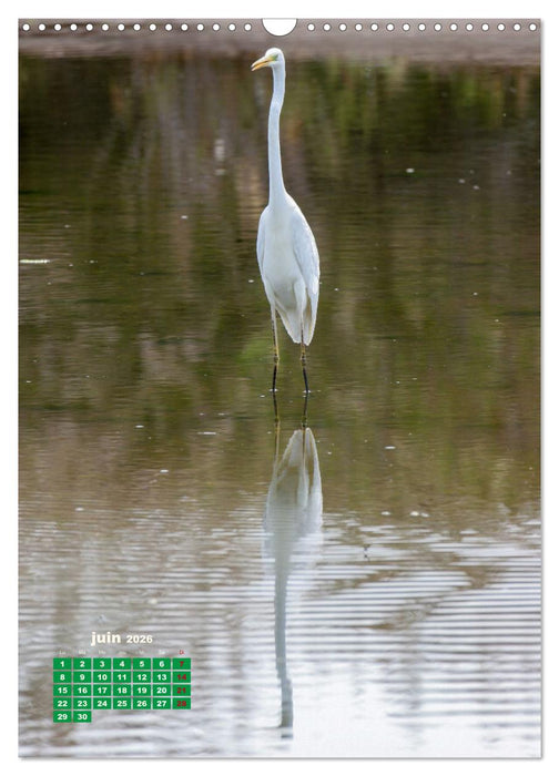 Lesbos l'île aux oiseaux (CALVENDO Calendrier mensuel 2026)