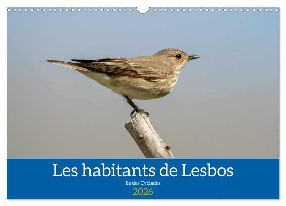 Les habitants de Lesbos Ile des cyclades (CALVENDO Calendrier mensuel 2026)