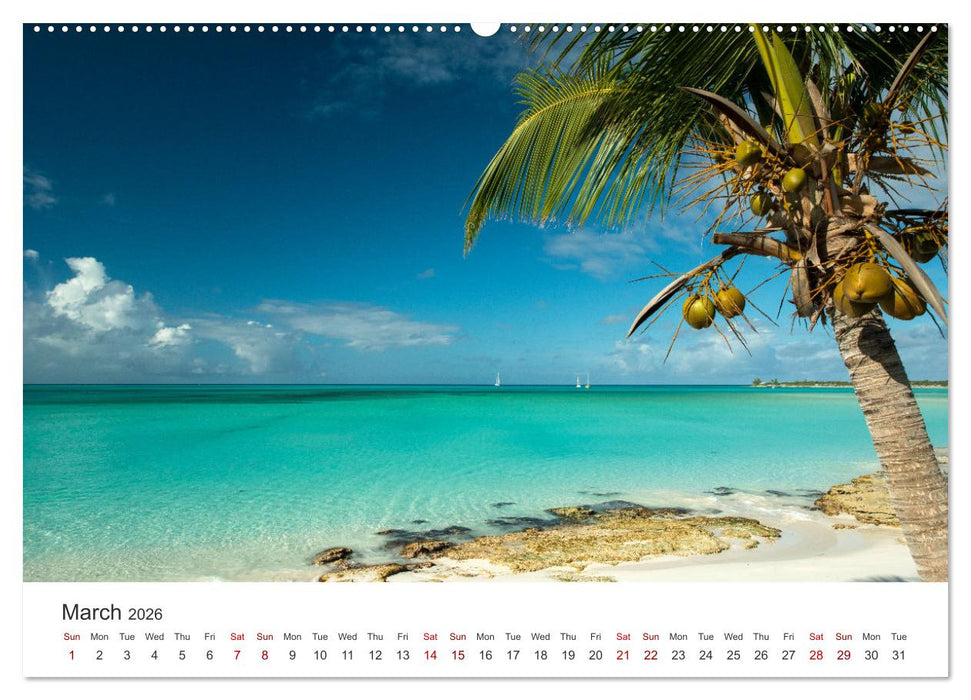 Caribbean beaches and the shades of blue (CALVENDO Monthly Calendar 2026)