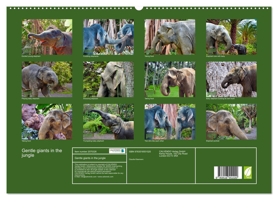 Gentle giants in the jungle (CALVENDO Premium-Calendar 2026)