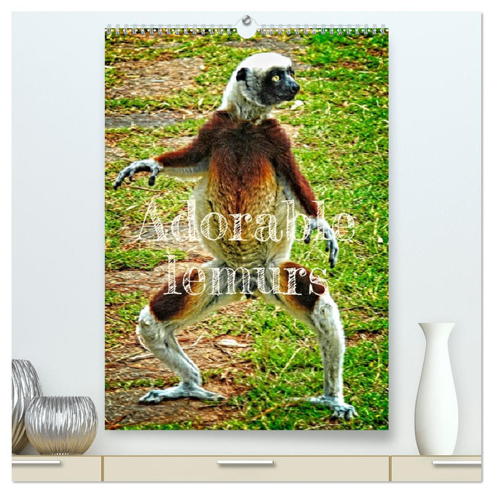 Adorable lemurs (CALVENDO Premium-Calendar 2026)