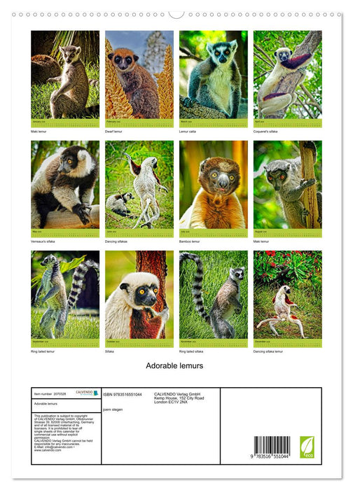 Adorable lemurs (CALVENDO Premium-Calendar 2026)
