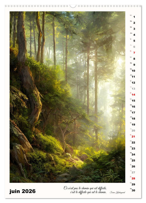 Chemins de fantaisie (CALVENDO Calendrier mensuel 2026)