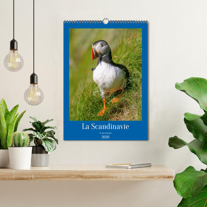 La Scandinavie et ses oiseaux (CALVENDO Calendrier mensuel 2026)