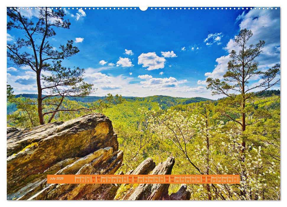 Unique Thuringian Forest (CALVENDO Premium-Calendar 2026)
