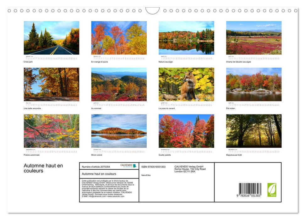Automne haut en couleurs (CALVENDO Calendrier mensuel 2026)