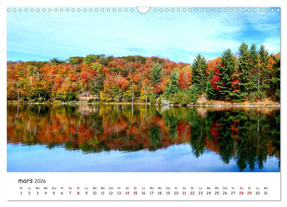 Automne haut en couleurs (CALVENDO Calendrier mensuel 2026)