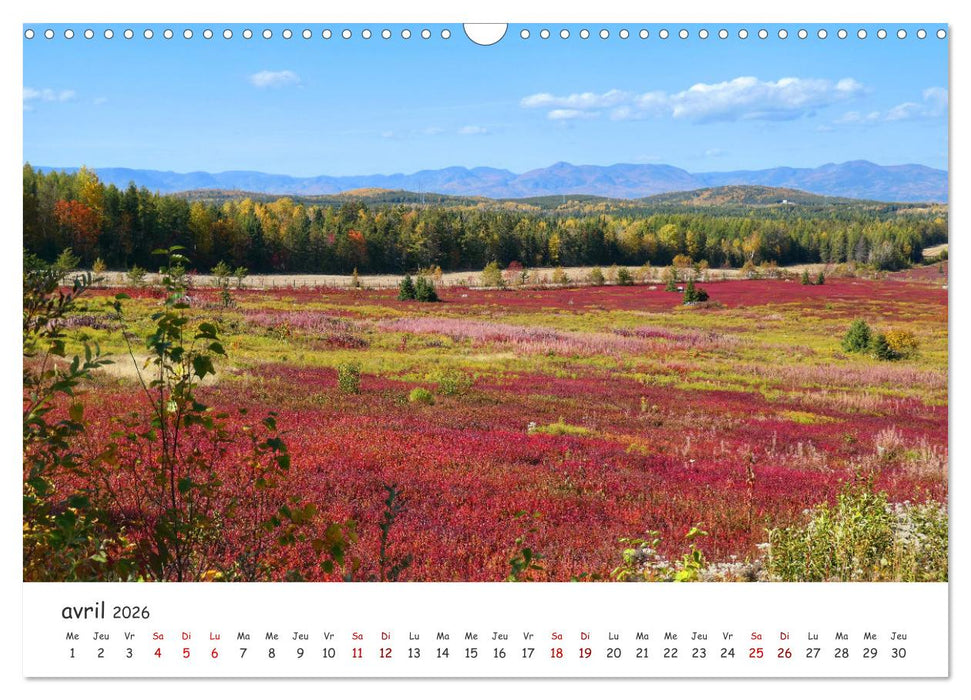 Automne haut en couleurs (CALVENDO Calendrier mensuel 2026)
