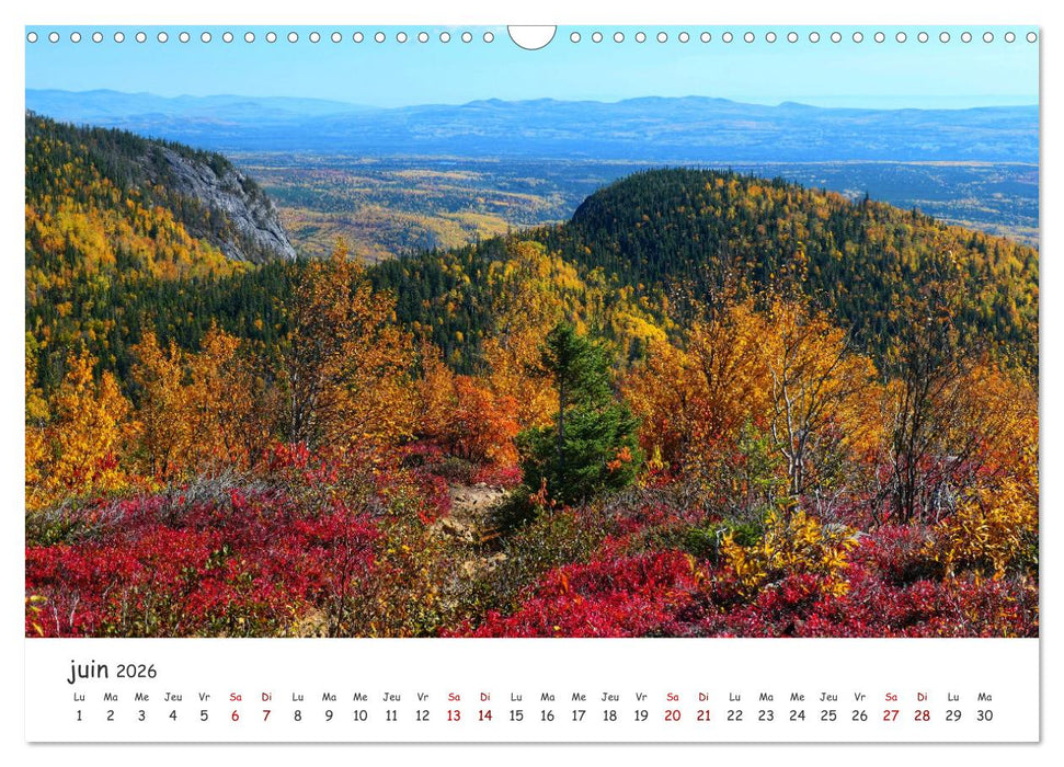 Automne haut en couleurs (CALVENDO Calendrier mensuel 2026)