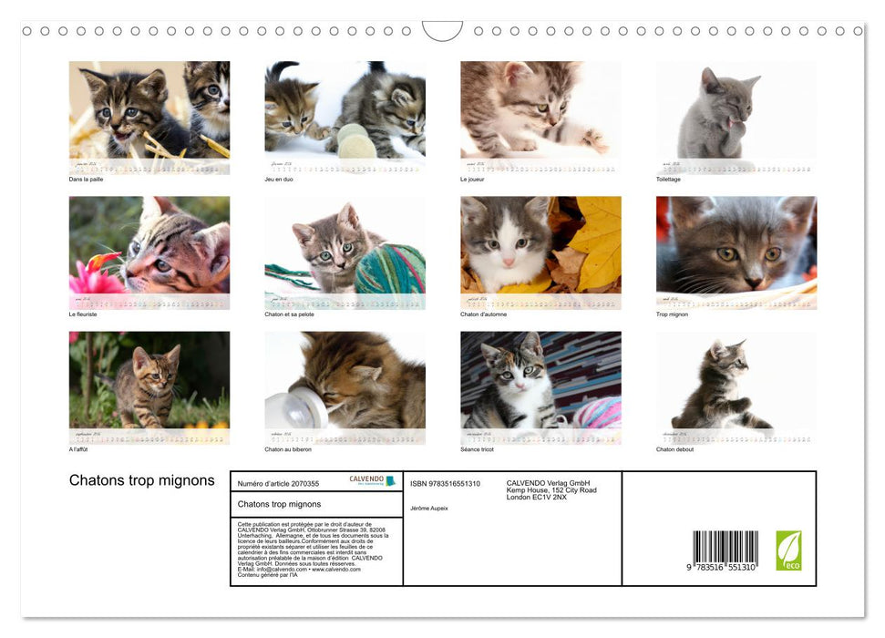 Chatons trop mignons (CALVENDO Calendrier mensuel 2026)