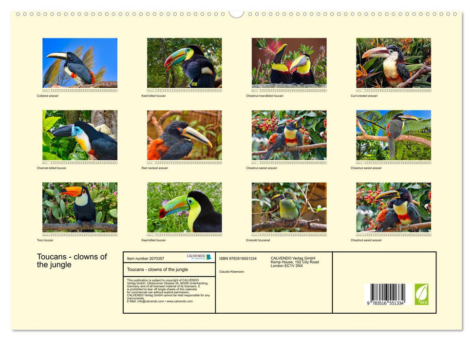 Toucans - clowns of the jungle (CALVENDO Premium-Calendar 2026)