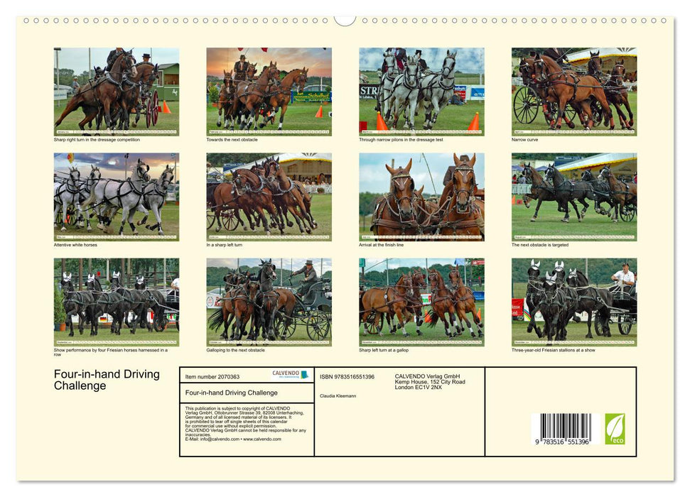Four-in-hand Driving Challenge (CALVENDO Premium-Calendar 2026)