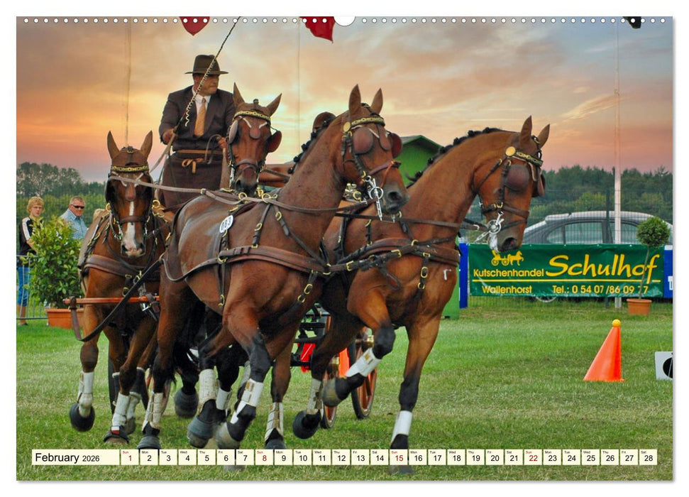 Four-in-hand Driving Challenge (CALVENDO Premium-Calendar 2026)