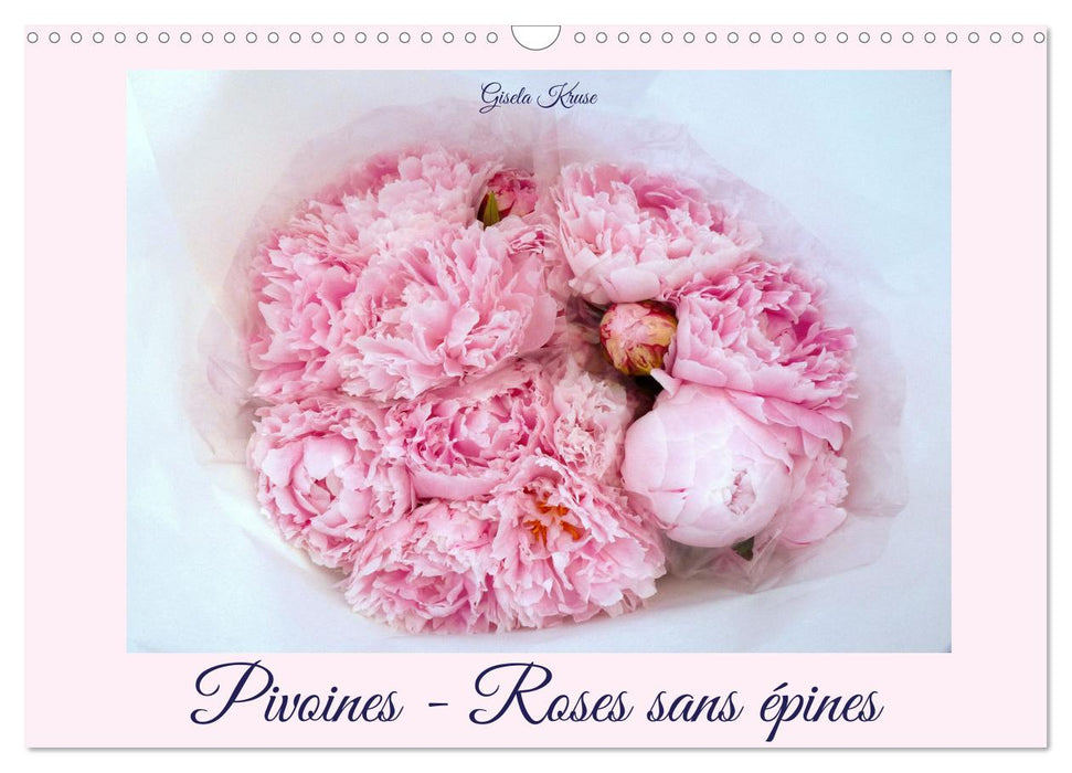 Pivoines - Roses sans épines (CALVENDO Calendrier mensuel 2026)