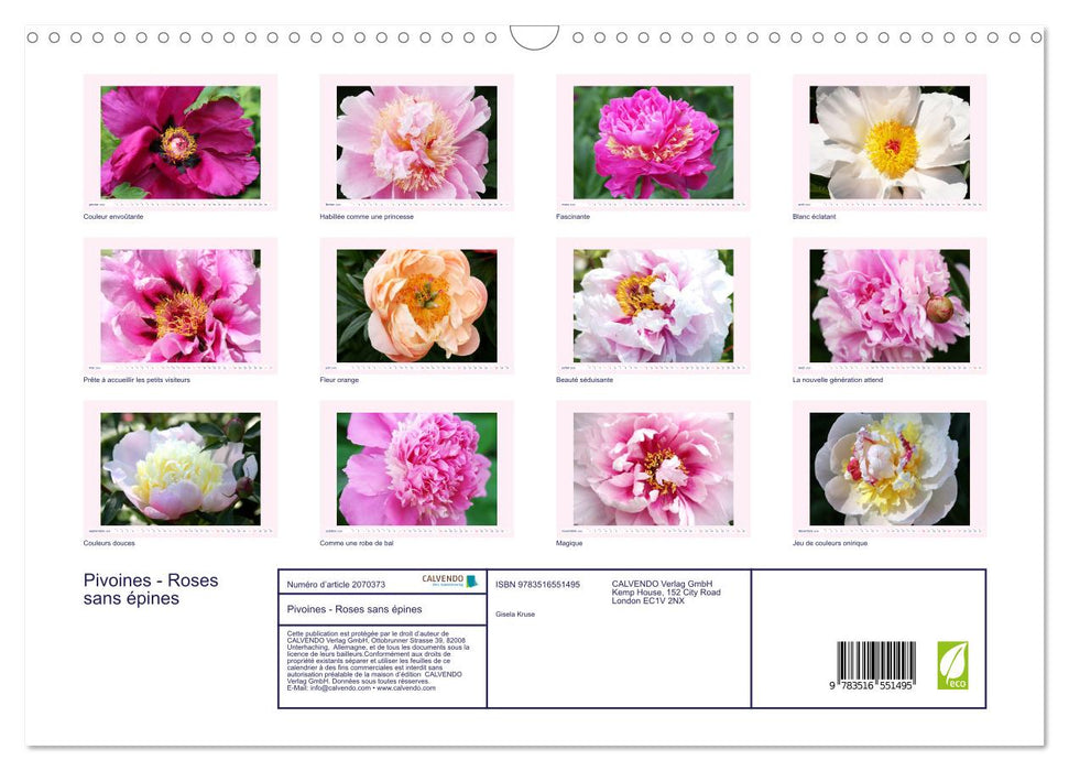 Pivoines - Roses sans épines (CALVENDO Calendrier mensuel 2026)