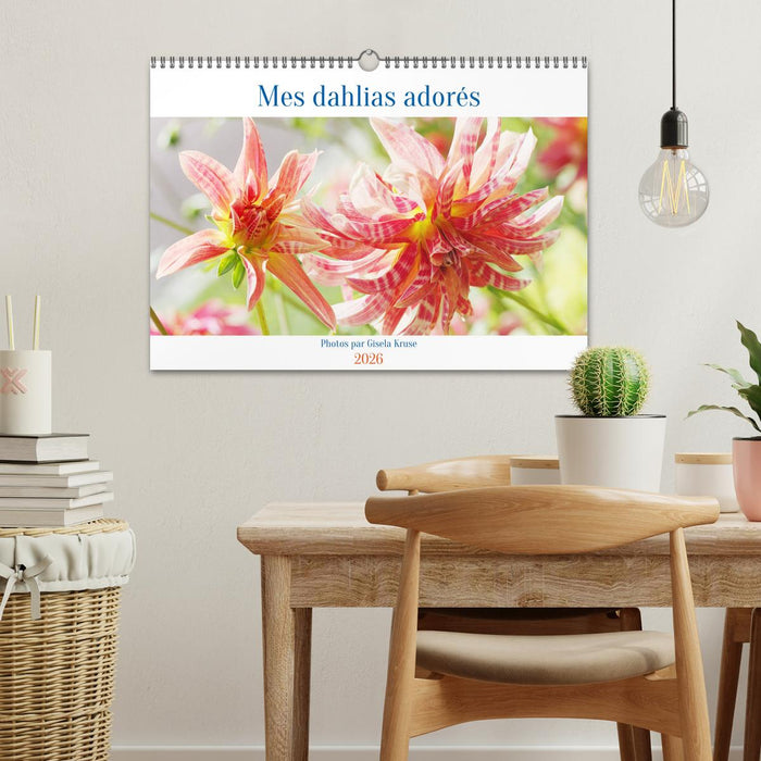 Mes dahlias adorés (CALVENDO Calendrier mensuel 2026)