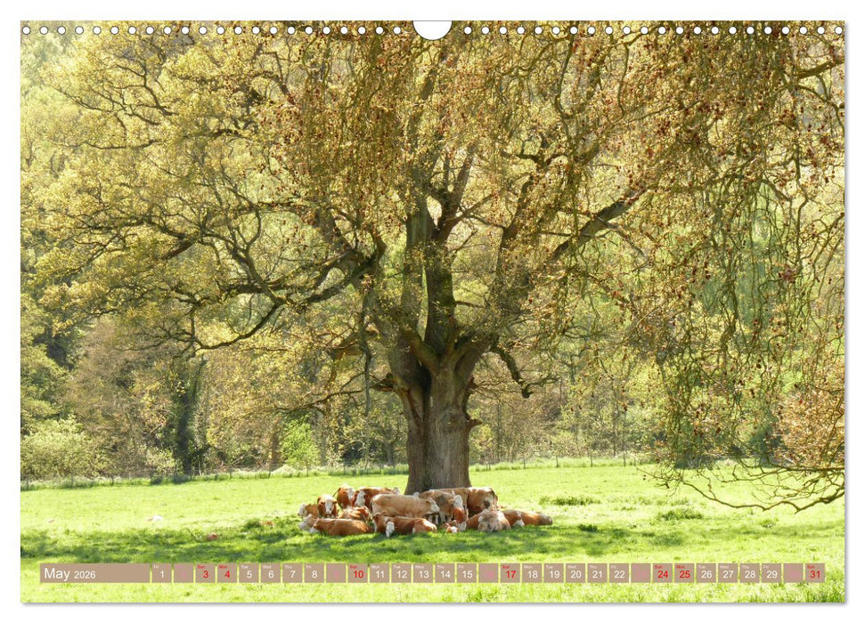 Picturesque Cotswolds (CALVENDO Monthly Calendar 2026)