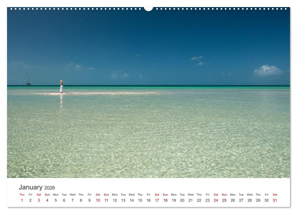 Caribbean beaches and the shades of blue (CALVENDO Premium-Calendar 2026)