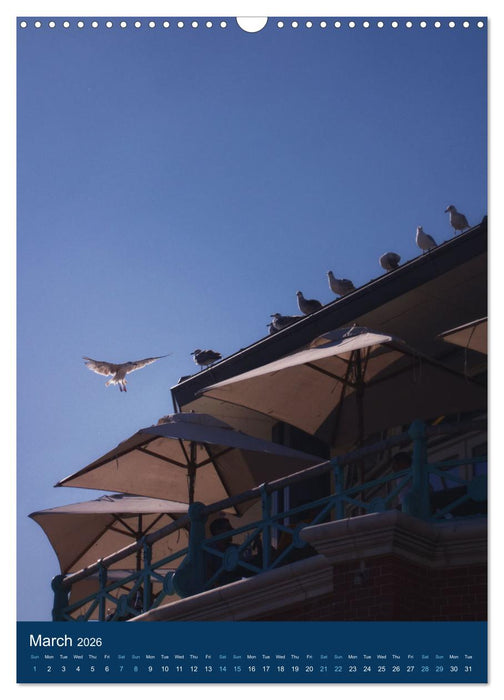 Brighton Summer Views (CALVENDO Monthly Calendar 2026)