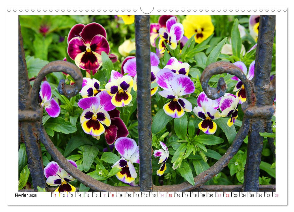 À la clôture du jardin (CALVENDO Calendrier mensuel 2026)