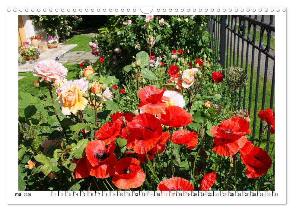 À la clôture du jardin (CALVENDO Calendrier mensuel 2026)