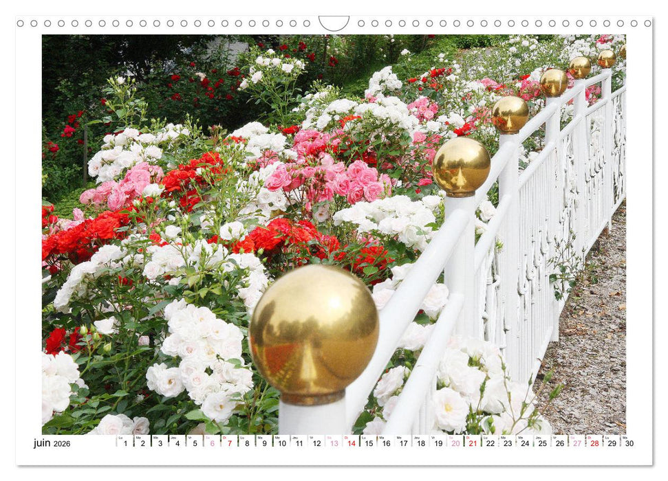 À la clôture du jardin (CALVENDO Calendrier mensuel 2026)