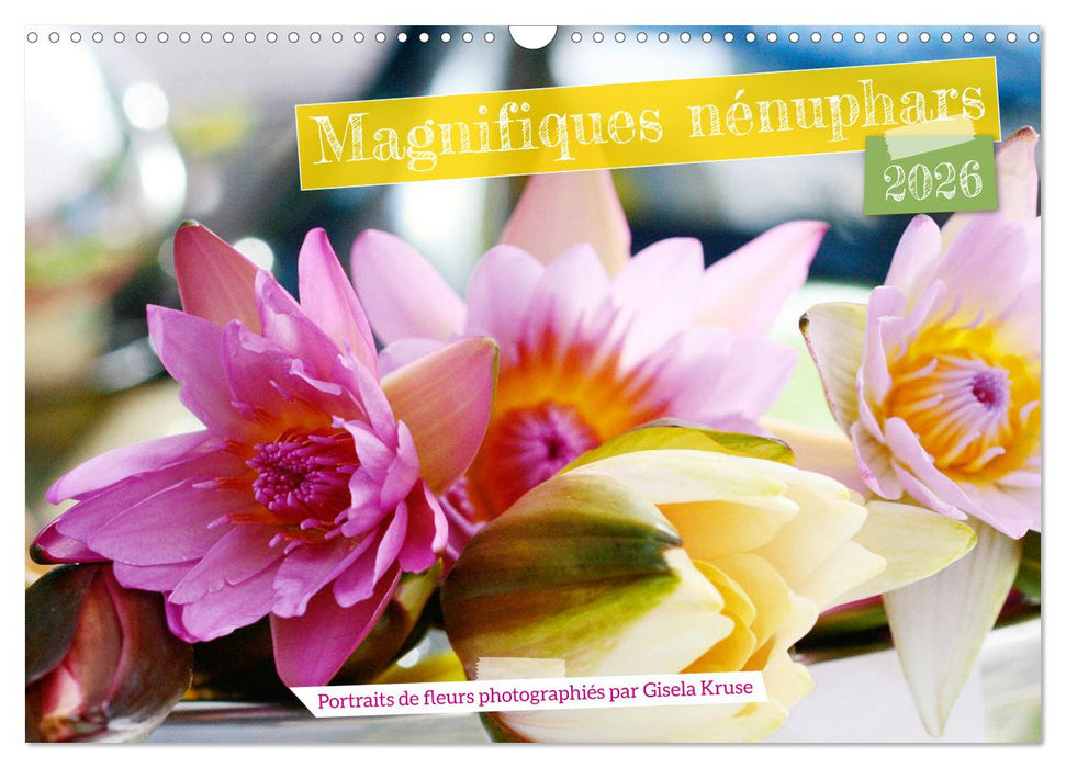 Magnifiques nénuphars (CALVENDO Calendrier mensuel 2026)