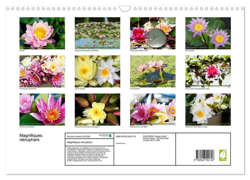 Magnifiques nénuphars (CALVENDO Calendrier mensuel 2026)