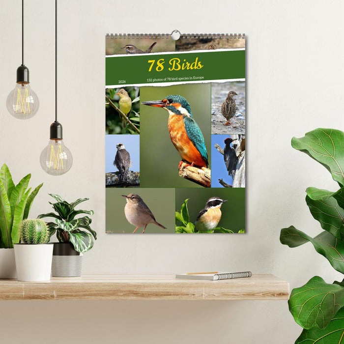 78 Birds (CALVENDO Monthly Calendar 2026)