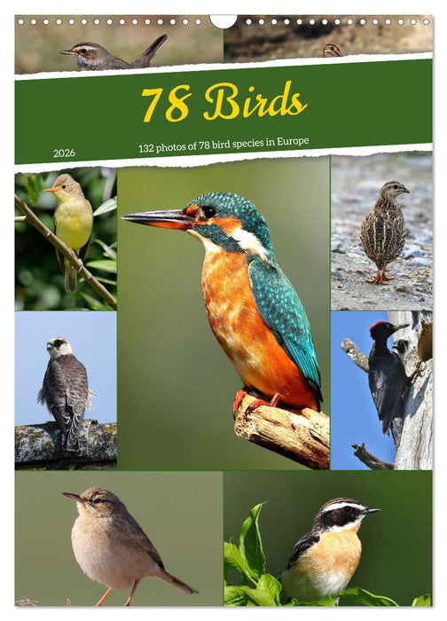 78 Birds (CALVENDO Monthly Calendar 2026)