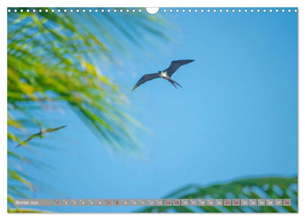 Amérique Centrale - Des paysages fantastique du Panama au Guatemala (CALVENDO Calendrier mensuel 2026)