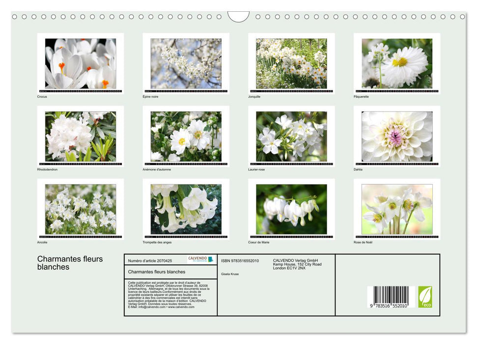 Charmantes fleurs blanches (CALVENDO Calendrier mensuel 2026)