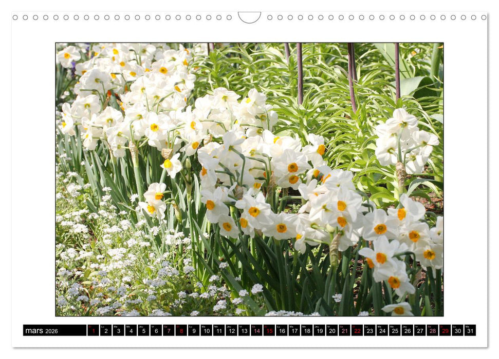 Charmantes fleurs blanches (CALVENDO Calendrier mensuel 2026)