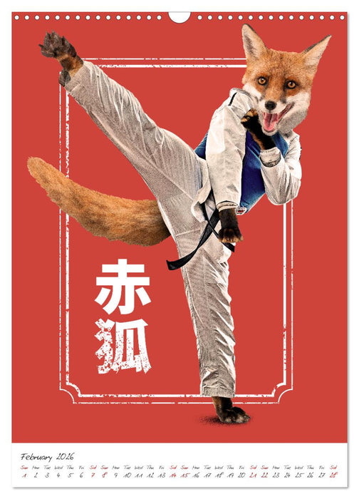 Crazy animal fighters (CALVENDO Monthly Calendar 2026)