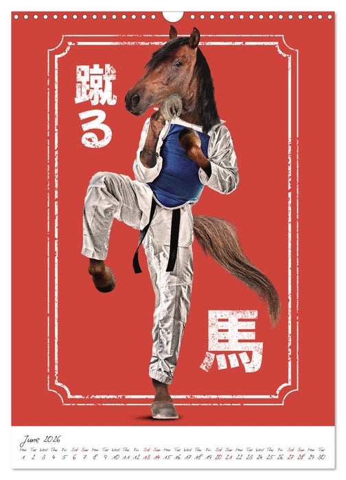 Crazy animal fighters (CALVENDO Monthly Calendar 2026)