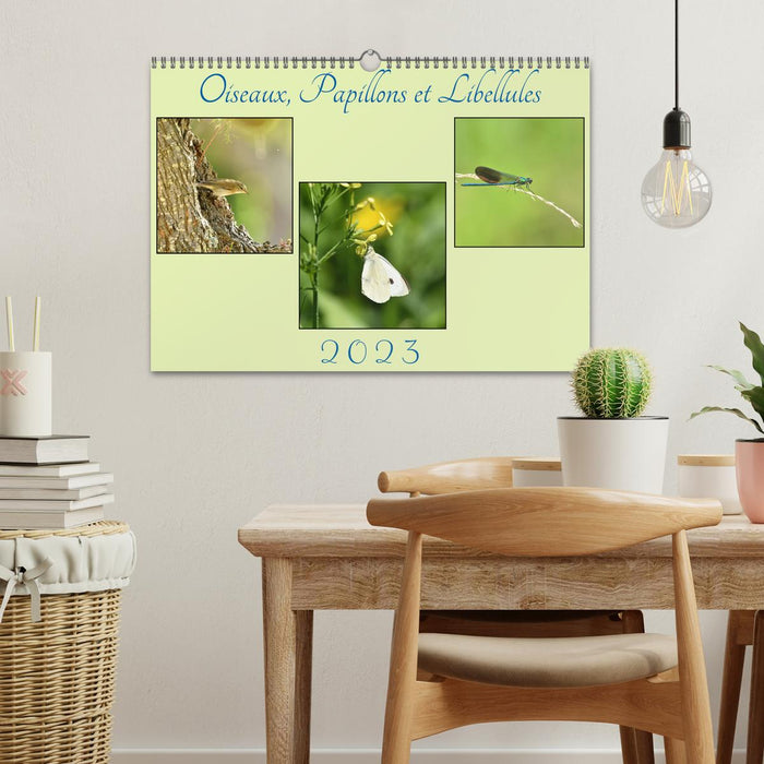 Oiseaux, Papillons et Libellules (CALVENDO Calendrier mensuel 2026)