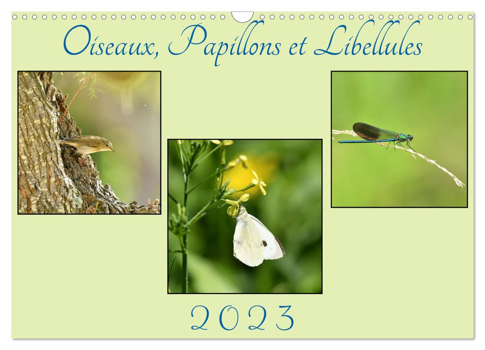 Oiseaux, Papillons et Libellules (CALVENDO Calendrier mensuel 2026)