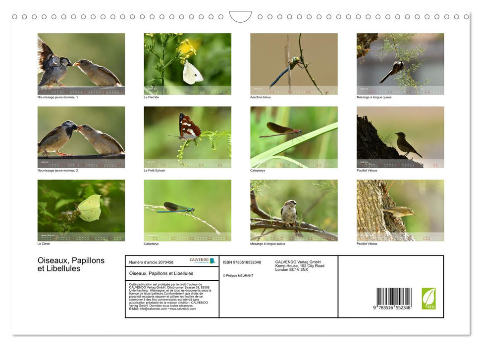 Oiseaux, Papillons et Libellules (CALVENDO Calendrier mensuel 2026)