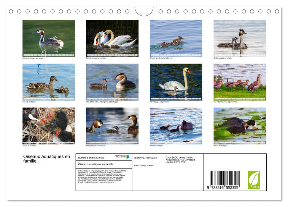 Oiseaux aquatiques en famille (CALVENDO Calendrier mensuel 2026)