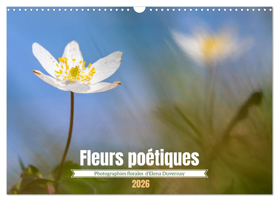 Fleurs poétiques (CALVENDO Calendrier mensuel 2026)