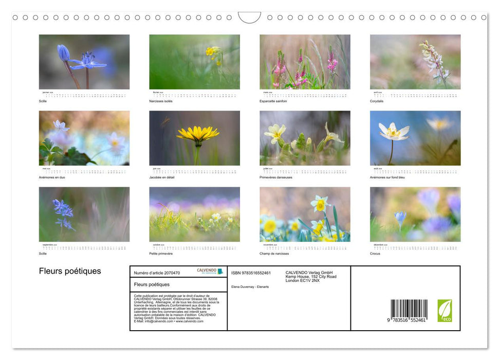 Fleurs poétiques (CALVENDO Calendrier mensuel 2026)