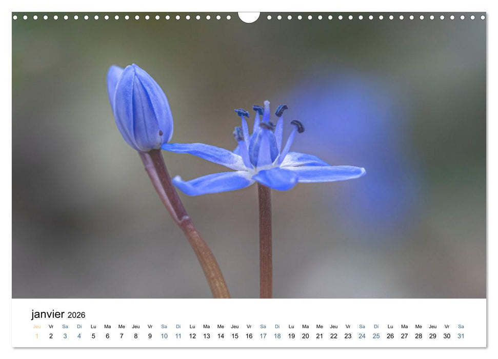 Fleurs poétiques (CALVENDO Calendrier mensuel 2026)