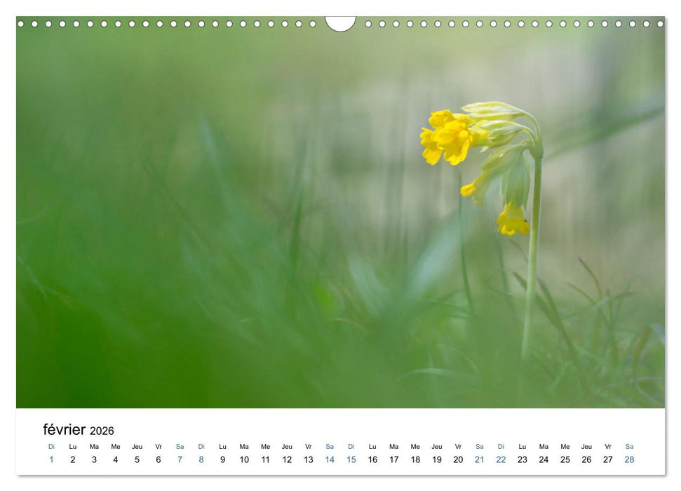 Fleurs poétiques (CALVENDO Calendrier mensuel 2026)