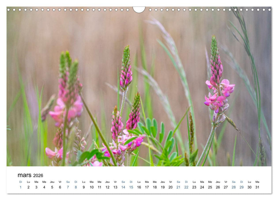 Fleurs poétiques (CALVENDO Calendrier mensuel 2026)