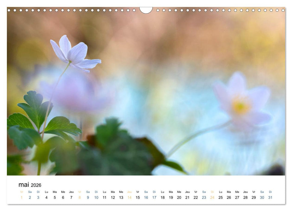Fleurs poétiques (CALVENDO Calendrier mensuel 2026)