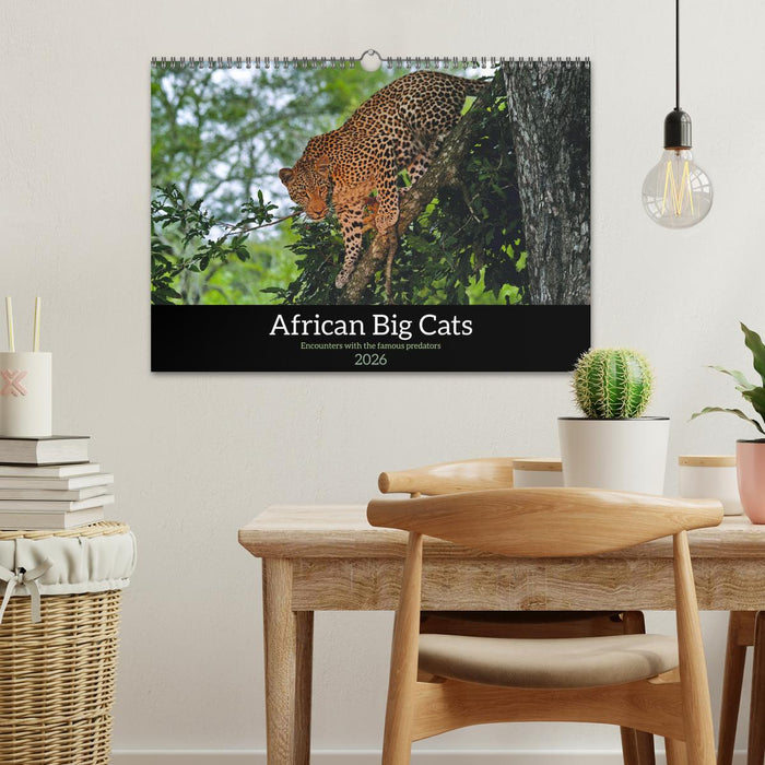 African Big Cats (CALVENDO Monthly Calendar 2026)