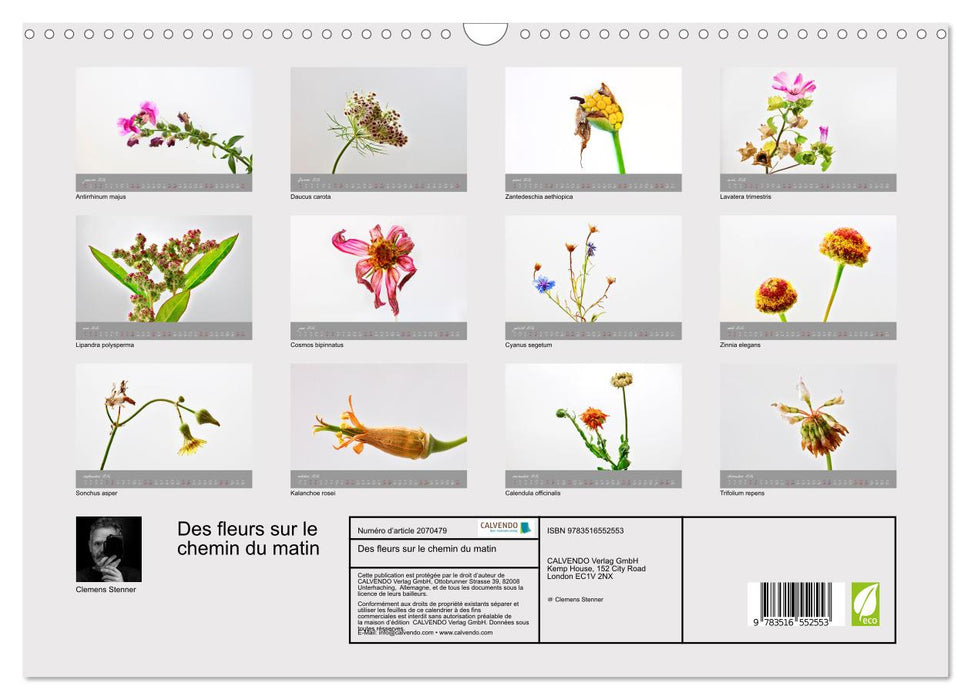 Des fleurs sur le chemin du matin (CALVENDO Calendrier mensuel 2026)