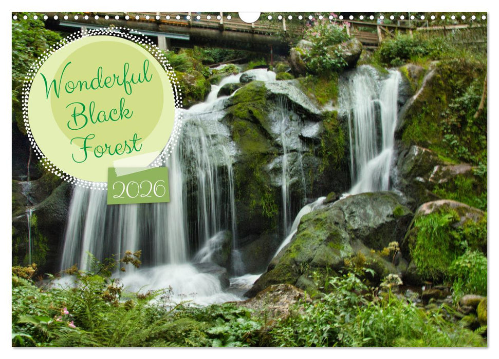Wonderful Black Forest (CALVENDO Monthly Calendar 2026)
